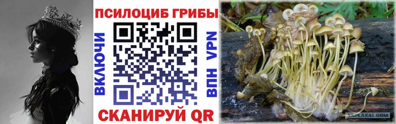 Псилоцибиновые грибы ЛСД  MEGA как зайти  Апрелевка 