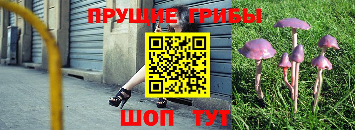 Псилоцибиновые грибы мухоморы  Апрелевка 