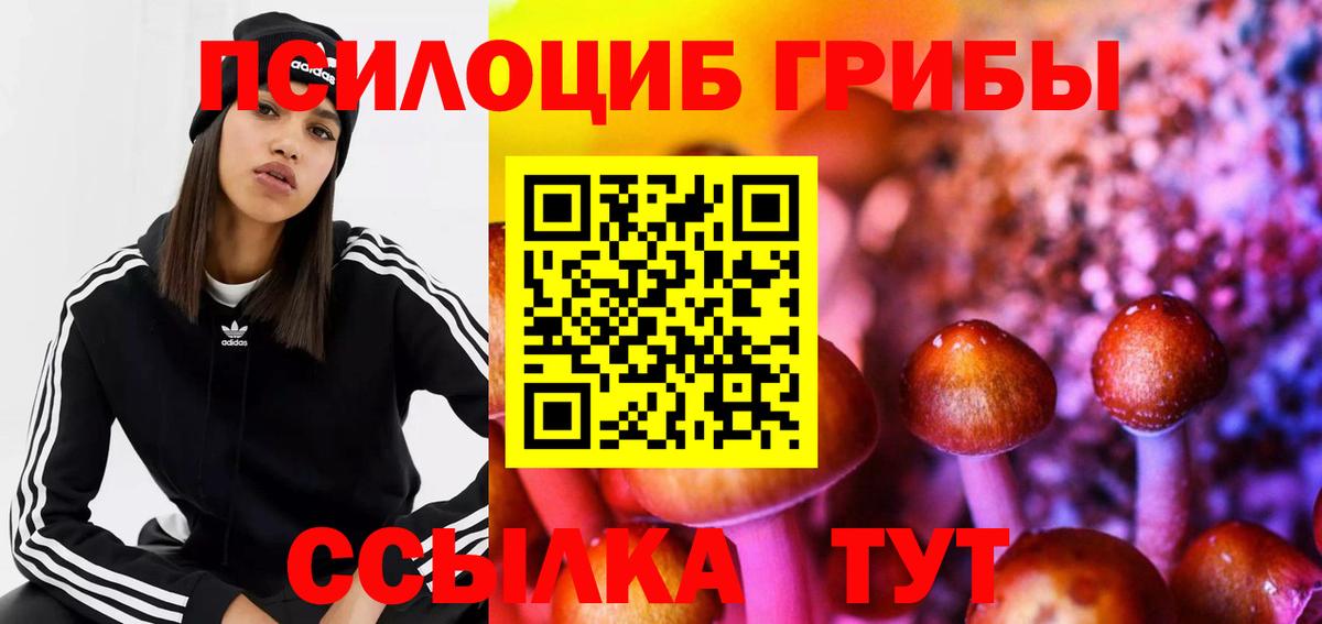Галлюциногенные грибы прущие грибы Апрелевка